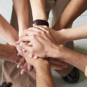 Permakultur Zusammenarbeit Permakultur Zusammenarbeit